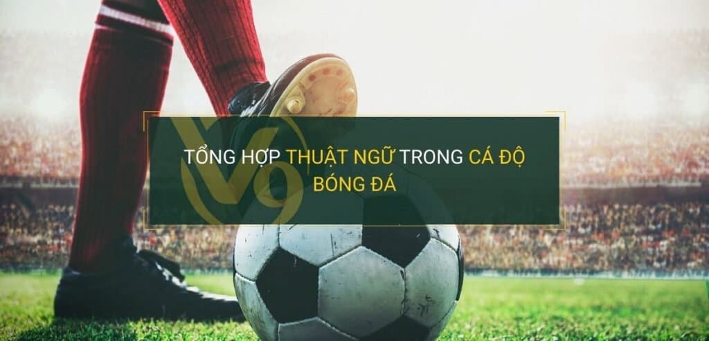 Hiểu Rõ Ngôn Ngữ Cá Cược Thể Thao: Bỏ Túi Bí Kíp Đọc Kèo